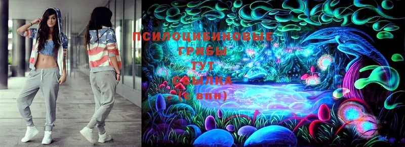 Псилоцибиновые грибы Magic Shrooms  OMG зеркало  Сосновка 